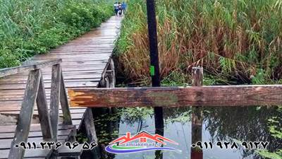 روستای شیشه‌گوراب در خشکبیجار رشت، با شالیزارهای سرسبز، معماری سنتی گیلانی و مراسمی مانند عروس‌گوله، مقصدی ایده‌آل برای تجربه فرهنگ و طبیعت اصیل شمال است.