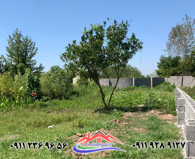 زمین با متراژ 300 متر خشکبیجار